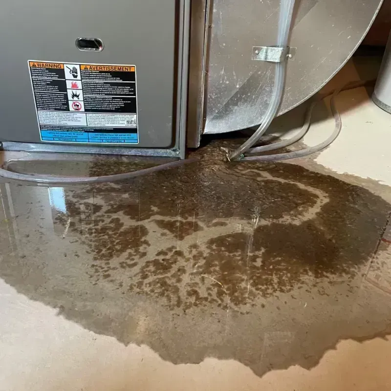 Appliance Leak Cleanup in Elk Grove Village, IL